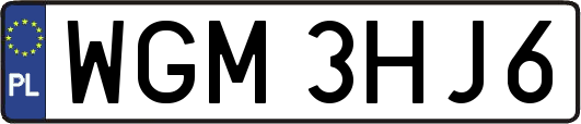 WGM3HJ6