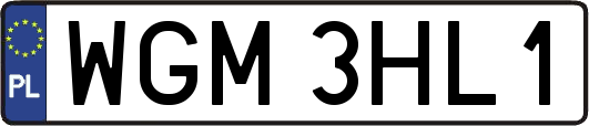 WGM3HL1