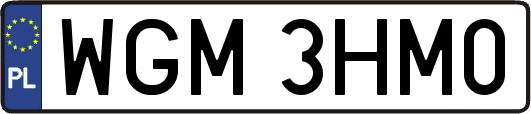 WGM3HM0