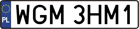 WGM3HM1