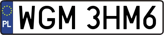 WGM3HM6