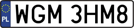 WGM3HM8