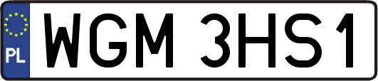 WGM3HS1