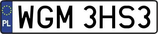 WGM3HS3