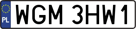 WGM3HW1