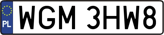 WGM3HW8