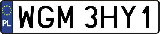 WGM3HY1