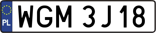 WGM3J18