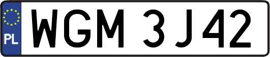 WGM3J42