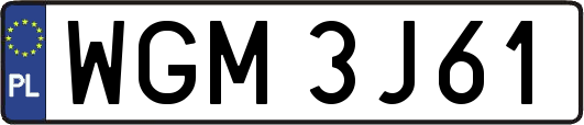 WGM3J61