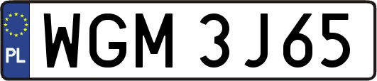 WGM3J65