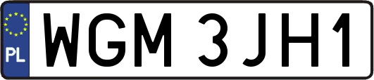 WGM3JH1