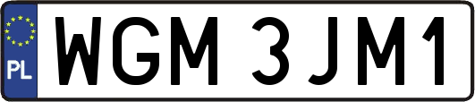 WGM3JM1