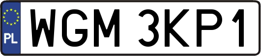WGM3KP1