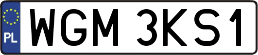 WGM3KS1