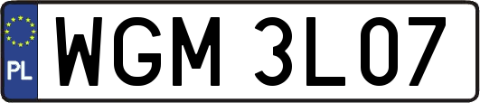 WGM3L07