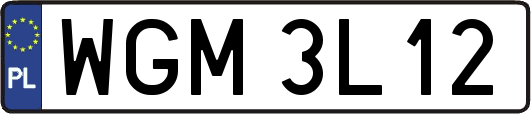 WGM3L12