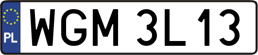 WGM3L13