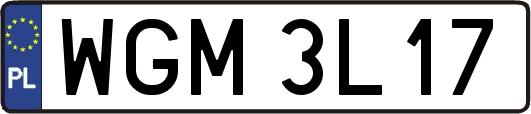WGM3L17