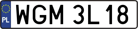 WGM3L18
