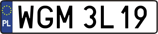 WGM3L19