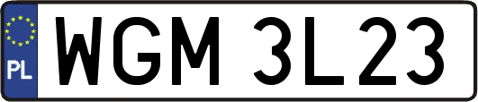 WGM3L23