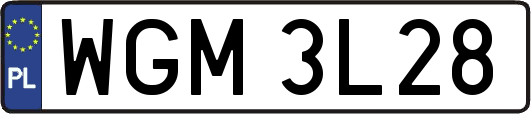 WGM3L28