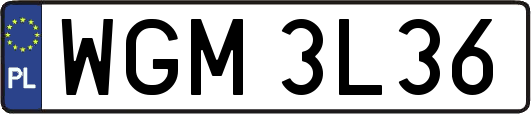 WGM3L36