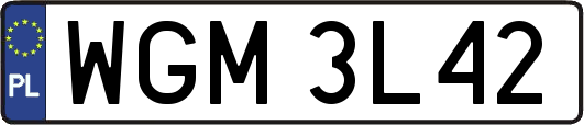 WGM3L42