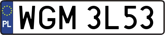 WGM3L53