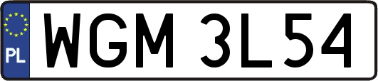 WGM3L54