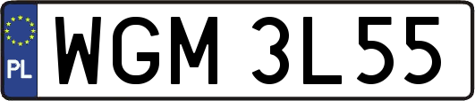 WGM3L55