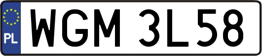 WGM3L58