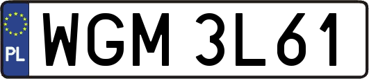 WGM3L61