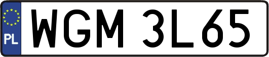 WGM3L65