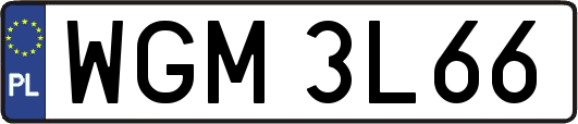 WGM3L66