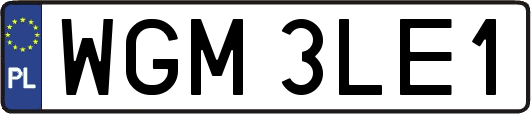 WGM3LE1