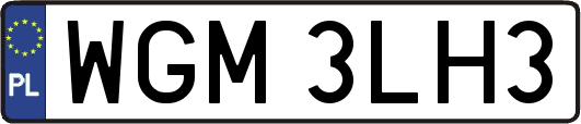 WGM3LH3