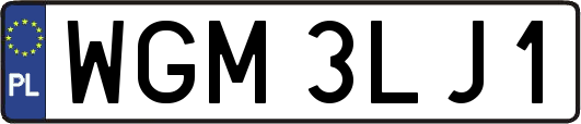 WGM3LJ1