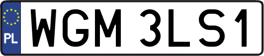 WGM3LS1