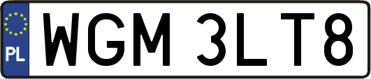 WGM3LT8