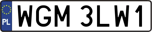 WGM3LW1