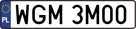 WGM3M00