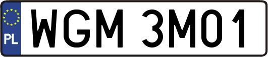 WGM3M01