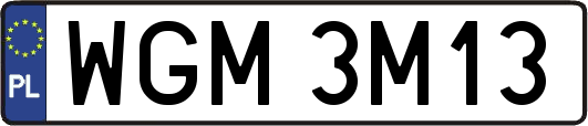 WGM3M13