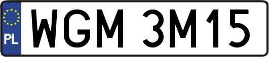 WGM3M15