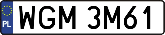 WGM3M61