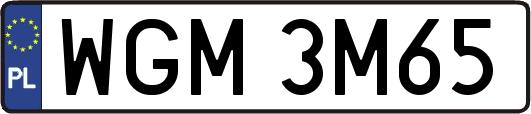 WGM3M65