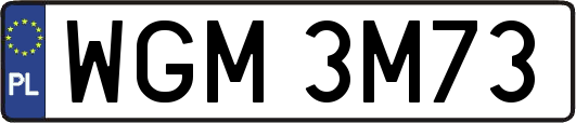 WGM3M73