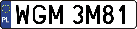 WGM3M81